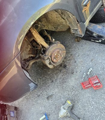 518349848_122129503004825509_6166113594920947680_n